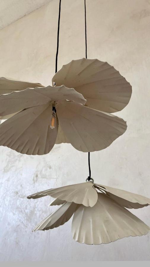 Casa Bo Otel La Paz Dış mekan fotoğraf